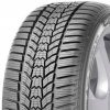 Sava Eskimo HP2 205/55 R17 95V