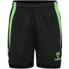 Hummel Lead 2.0 Short Kids 223744-1015