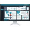 EIZO 27
