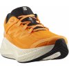 Salomon Aero Glide 3 M L47756200 turmeric white black