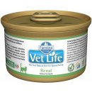 Farmina Vet Life cat Renal 85 g