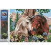 Norimpex Diamantové maľovanie Konské súznenie 30 x 40 cm