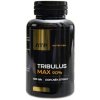ATP Tribulus Max 90% 100 tabliet