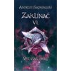 Zaklínač VI. - Věž vlaštovky (Andrzej Sapkowski)