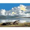 Diamondi Diamantové maľovanie - LEŽIACI ALIGÁTOR A NEBO (D. RUSTY RUST) Rámovanie: vypnuté plátno na rám, Rozmer: 40x50 cm