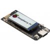 LilyGO TTGO T-PicoC3 ESP32-C3 RP2040 1.14 ST7789V TFT Modul