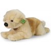 Plyšový pes Zlatý Retriever ležiaci 39 cm ECO-FRIENDLY