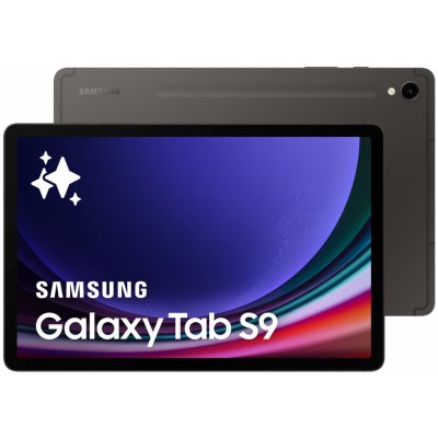 Samsung X710 Galaxy Tab S9 8/128GB 11" Wi-Fi Šedý (SM-X710NZAAEUE)