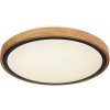 Globo 41764-12 LED stropné svietidlo Bruno 1x12W | 530lm | 3000-4500-6000K - opál, čierna, hnedá