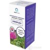 ADAMPharm OSTROPESTREC MARIÁNSKY+KURKUMA+CHOLÍN cps 60 ks