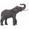 Figúrka Mojo - Slon Africký s chobotom hore (5031923810051)