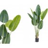 Hobbyvěci Umělá Palma Bird Paradise Strelície Květina Rostlina v Květináči 152cm