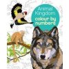 Animal Kingdom Colour by Numbers (Martin (Illustrator) Sanders,Arpad (Illustrator) Olbey)(Brožovaná)
