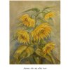 Slnečnice 2, Marta Augustínska,originálny,ručne maľovaný obraz M (do veľkosti 65x65cm) Fialová