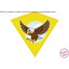 Šarkan lietajúci 68 x73 cm PVC Orol