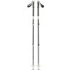 Black Diamond Expedition 3 Ski Poles 140 cm; Zelená hole