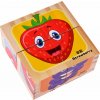 Obrázkové kostky Ovoce, 4 kostky