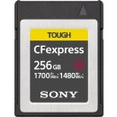 Sony 256GB CEBG256.SYM