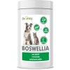Dromy Boswellia 120 tbl.