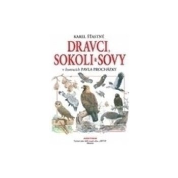 Dravci , sokoli a sovy - Procházka Pavel, Štastný Karel