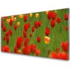 Nástenný panel Tulipány rastlina 100x50 cm