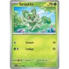Pokémon karta Sprigatito 013/198 Holo