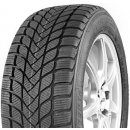 Mastersteel Winter + 205/50 R17 93H