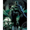 Zuty - Batman v laboratoři, 40×50 cm, vypnuté plátno na rám (8596530135852)