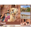 Kamele - Die freundlichen Gepäckträger (Wandkalender 2024 DIN A2 quer), CALVENDO Monatskalender