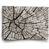 Sablio Obraz Drevo - 90x60 cm