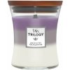 WOODWICK Trilogy Amethyst Sky 275 g