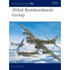 303rd Bombardment Group (Brian D. O'Neill)(Brožovaná)