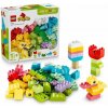 LEGO® DUPLO® Farebný kreatívny balíček 10479