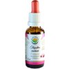 Salvia Paradise Echinacea - třapatka nachová AF tinktura 30ml