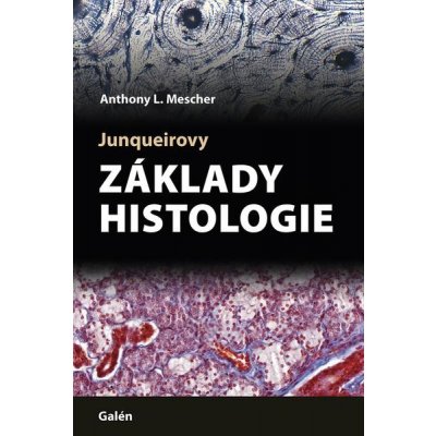 Junqueirovy základy histologi - Anthony Melscher