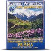 Everest Ayurveda PRANA Povzbudenie vitality a životnej energie 100 g