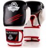 Boxerské rukavice DBX BUSHIDO DBD-B-2 v3 veľ. 8 oz.