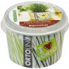Ortolino - Pažítka - VERDEMAX - nádobka, kokosový substrát, rýchlovzchádzajúce osivo