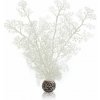 biOrb Plastová rastlina - Sea Fan bielá 29 cm