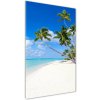Vertikálny foto obraz akrylové sklo Tropická pláž 50x100 cm