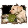 Díra 3D fototapeta nálepka Pes a mačka na lúke 95x64 cm