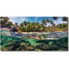 Foto obraz akrylové sklo Tropická pláž 100x50 cm