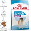 Royal Canin Giant Junior - granule pre šteniatka obrích psov 15 kg