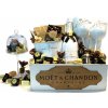 Darčekový kôš Moët Ice luxury