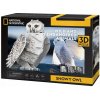 CubicFun 3D puzzle National Geographic: Sněžná sova 62 ks