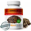 MycoMedica Coriolus 50% 90 kapslí