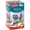 Apotheke Bio zimný s rakytníkom 20 x 2 g