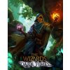The Wizards Dark Times