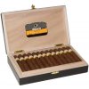 Cohiba Maduro 5 Secretos