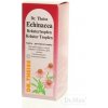 Ihneď k odberu - Dr.Theiss Echinacea Kräuter Tropfen gtt.por.1 x 50 ml